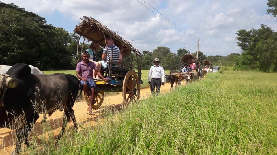 491997541_1347376110081286_1969148306399207813_n