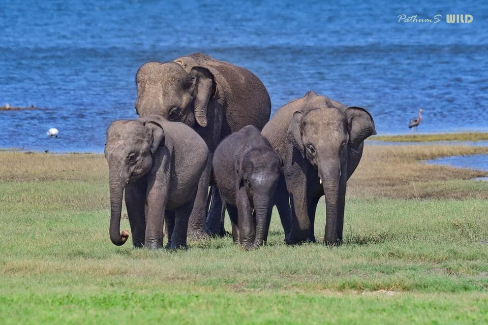 493284656_1347376070081290_3252826047181696569_n