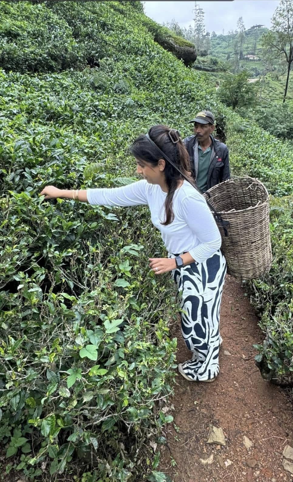 494540138_1354257009393196_6724729389873624852_n