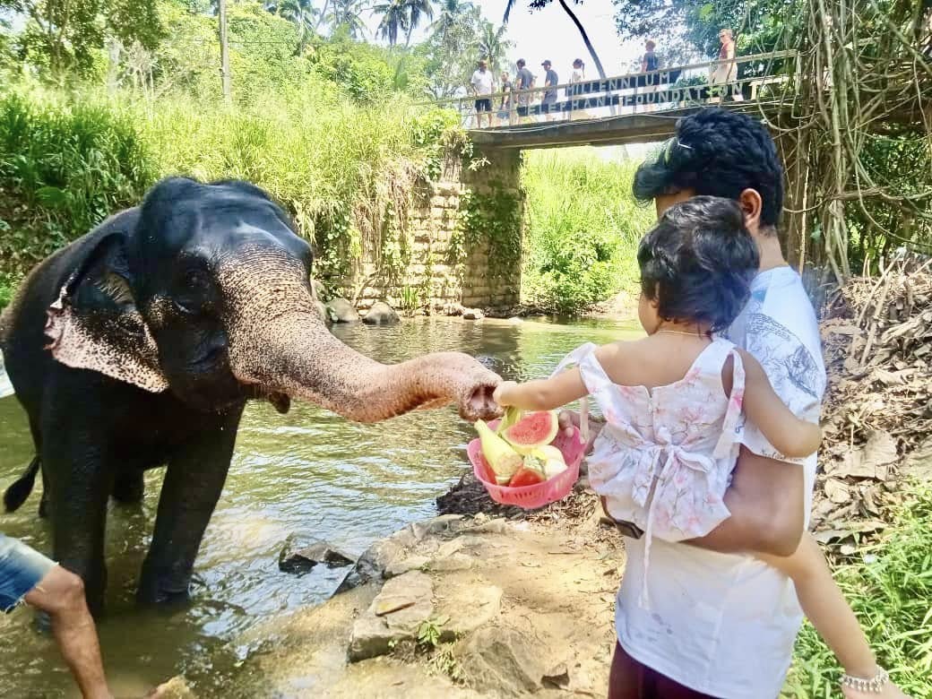 495050361_1354415999377297_5173891373199418743_n