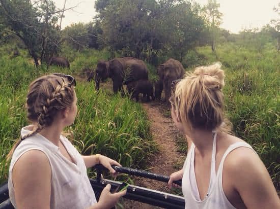 495334428_1362160688602828_8808011202307926231_n